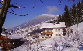 Apartment Schneeberger